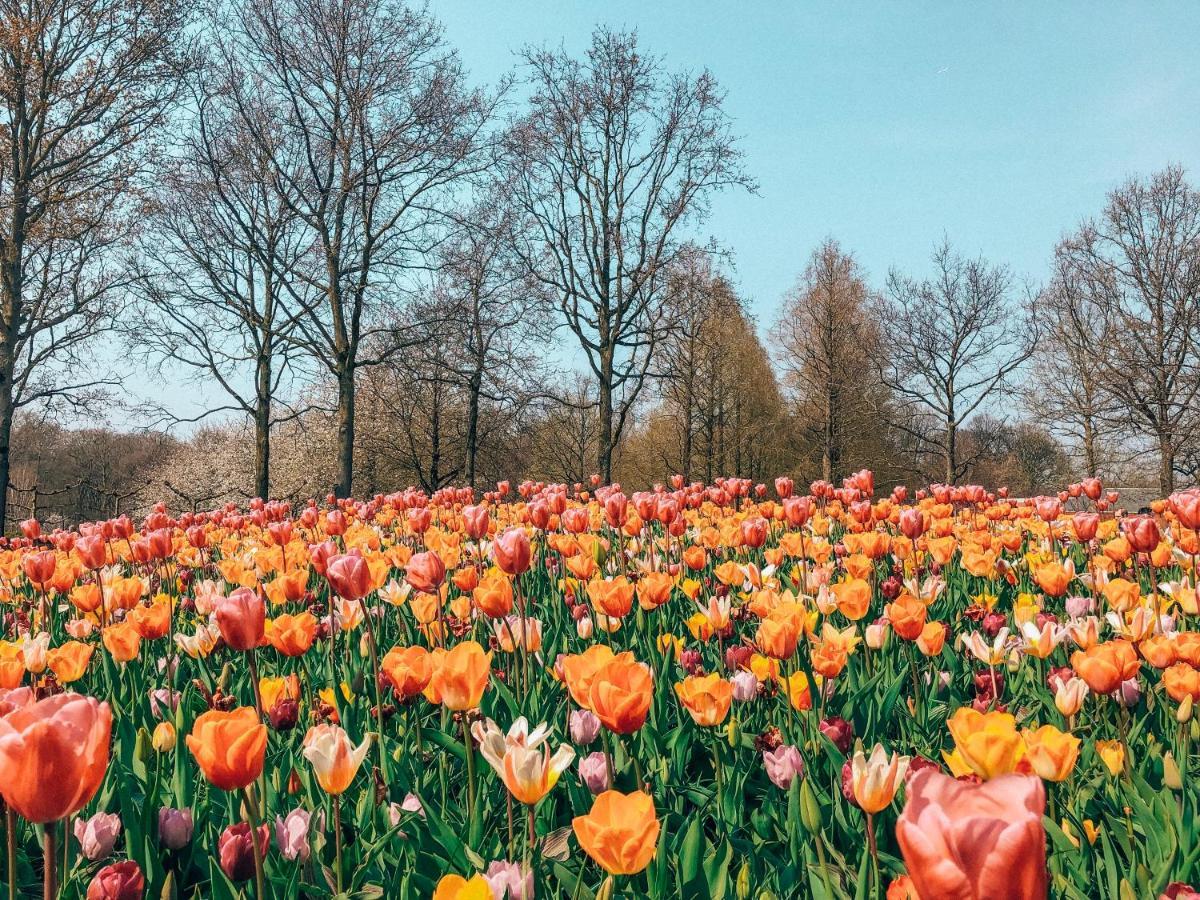 Hotel Lowietje Lisse - Keukenhof Exterior photo