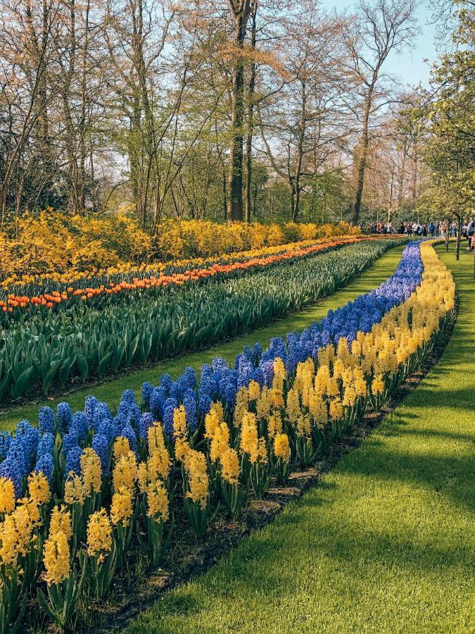 Hotel Lowietje Lisse - Keukenhof Exterior photo